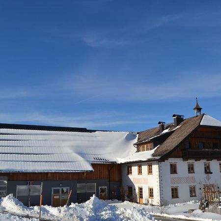 Vorderreithbauer Apartment Хоф бей Залцбург Екстериор снимка